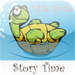 Little Turtle